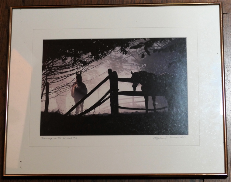 "Morning in the Corral #2" Original Photograph by Stephen J. Gawarecki - Canal Valley W. VA - Exhibit Information on Reverse - Framed - Frame Measures 16" by 20"