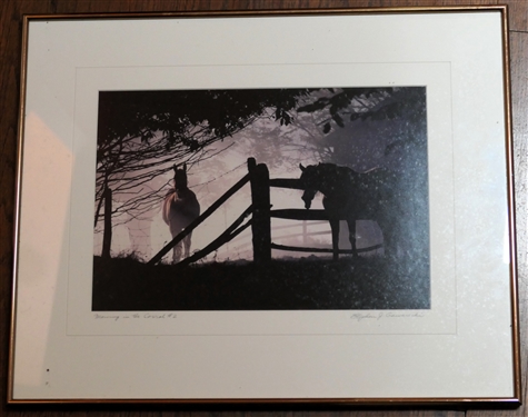 Morning in the Corral #2 Original Photograph by Stephen J. Gawarecki - Canal Valley W. VA - Exhibit Information on Reverse - Framed - Frame Measures 16 by 20