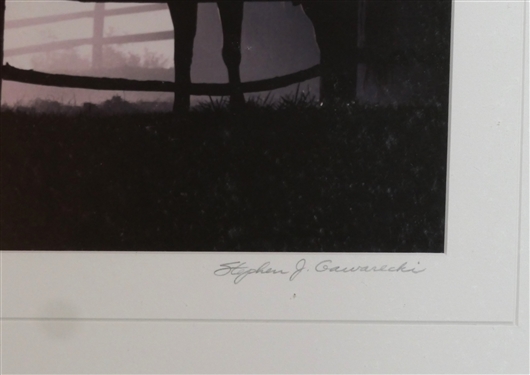 Morning in the Corral #2 Original Photograph by Stephen J. Gawarecki - Canal Valley W. VA - Exhibit Information on Reverse - Framed - Frame Measures 16 by 20
