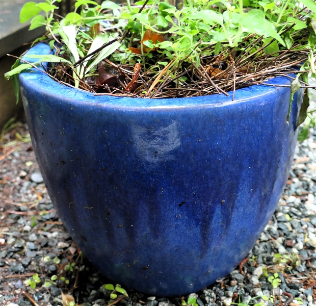 Nice Cobalt Blue Planter - Measures 11" Tall 12" Across