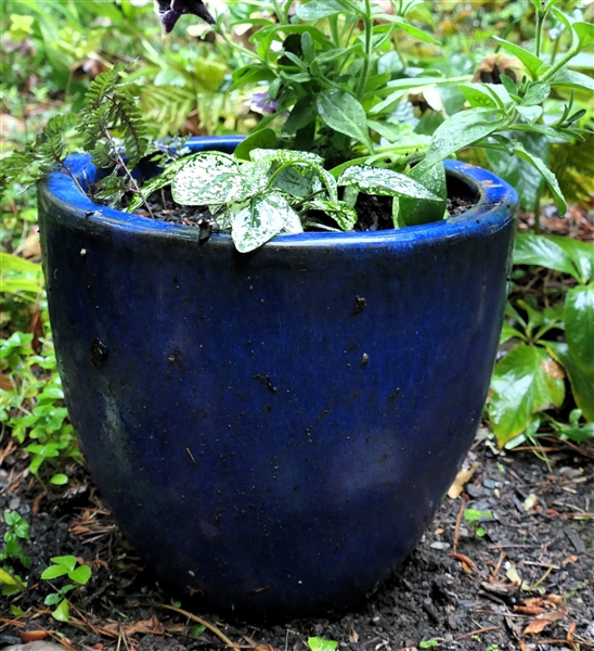 Cobalt Blue Planter - Measures 12" Tall 12" Across