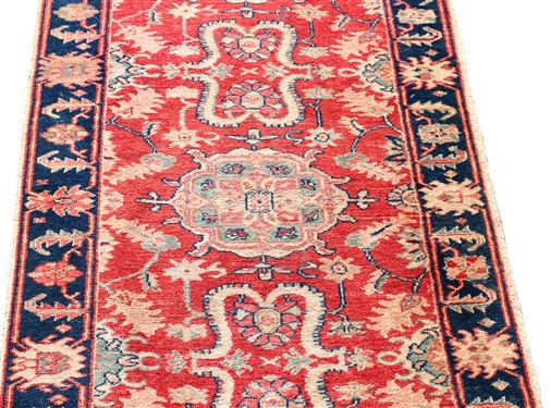 Beautiful Long  Persian Runner  - Coral Pink Background with Blue Boarder, Tan and Green Accents - Measures  17'8 by 2'11