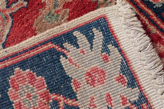Beautiful Long  Persian Runner  - Coral Pink Background with Blue Boarder, Tan and Green Accents - Measures  17'8 by 2'11