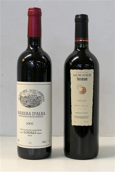 Vigneto Bric SantAmbrogio Barbera DAlba 2005 - Lodali Italia Red Wine and Reserve Morande Terrarium Merlot - 2002 Maipo Valley Red Wine