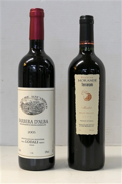 Vigneto Bric Sant'Ambrogio Barbera D'Alba 2005 - Lodali Italia Red Wine and Reserve Morande' Terrarium Merlot - 2002 Maipo Valley Red Wine