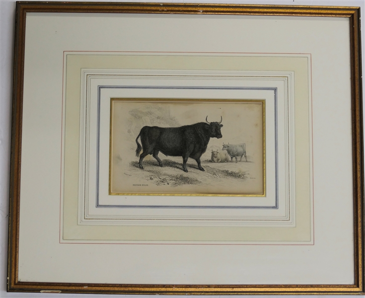 1800s Hand Colored Etching "British Nyloe" - Etching by Stewart Dell After Original by James Hope Stewart (1789 - 1856) - Attractively Framed and Matted - Frame Measure 12" by 14 1/2" 