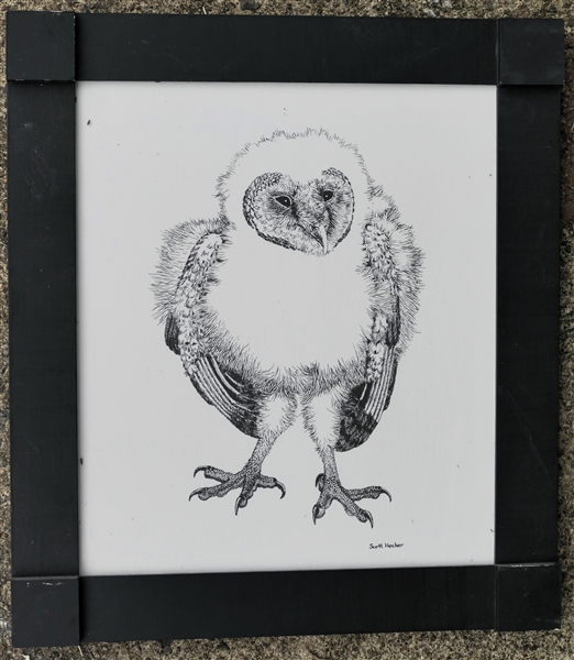 Scott Hecker Baby Owl / Owlet Print  - Framed - Frame Measures 14 1/2" by 13" 