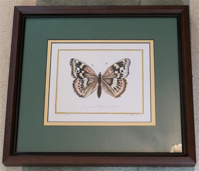 "Le Grand Marn Arange" J.J. Ernst Pintail Butterfly Print by J.J. Juillet Sculp - Hand Colored - Beautifully Framed and Matted - Frame Measures 15 1/2" by 16 3/4"