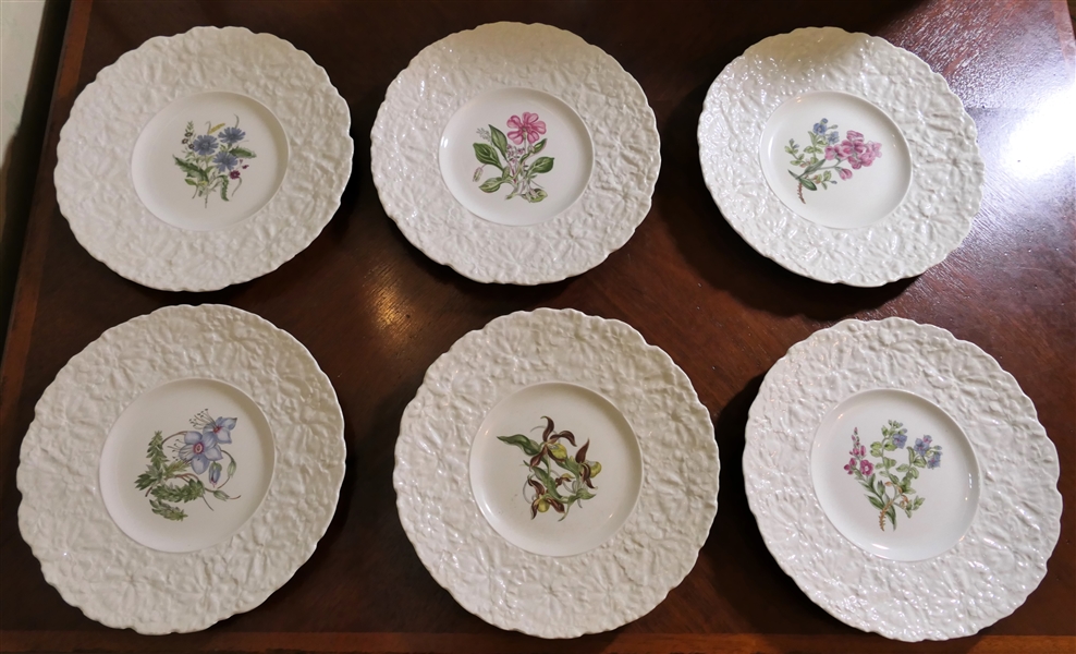 6  - Royal Cauldon Woodstock Plates with Assorted Flowers - Embossed Rims  - Each Plate Measures 9 1/8" Across