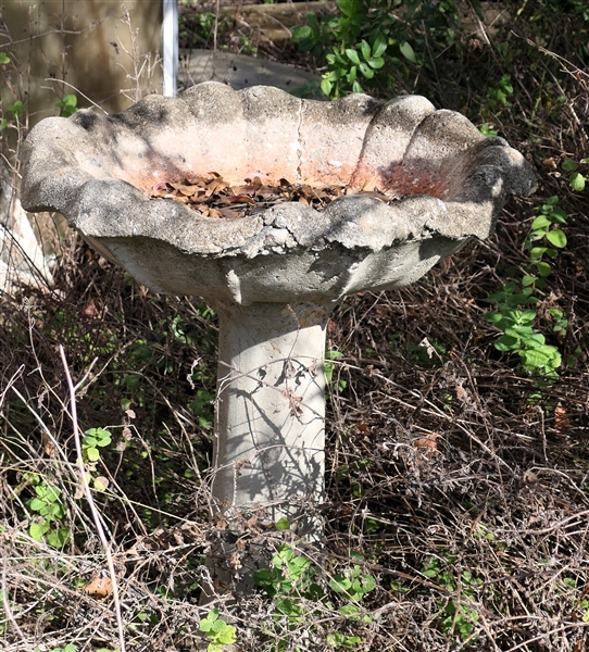 Concrete Bird Bath