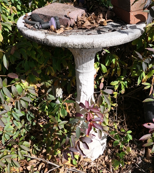 Birdbath 