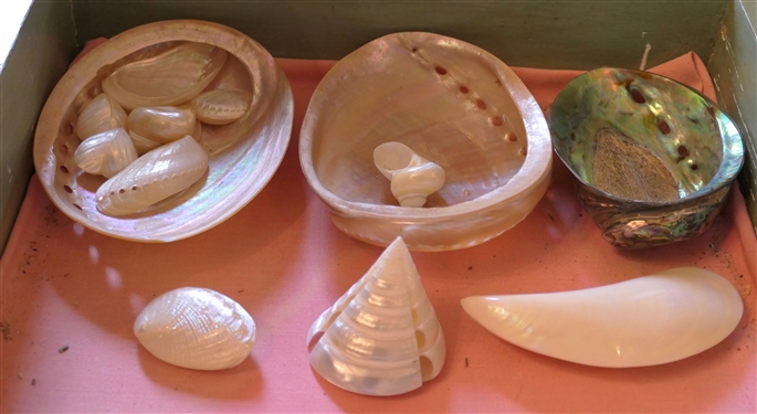 Group of Abalone and Mother of Pearl Shells - Large and Small 