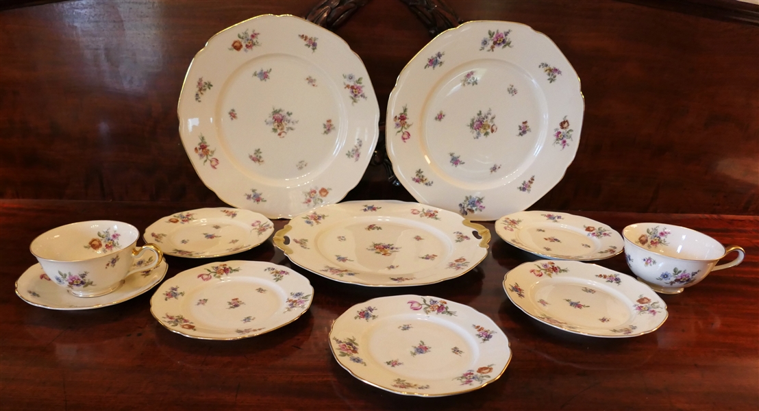 11 Pieces of "The Colwyn" Bavaria China - Number 4562 - Dessert Set, 2 Dinner Plates, Cup & Saucer, and 1 Cup 
