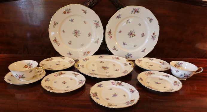 11 Pieces of The Colwyn Bavaria China - Number 4562 - Dessert Set, 2 Dinner Plates, Cup & Saucer, and 1 Cup 