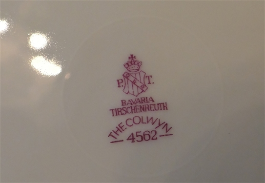 11 Pieces of The Colwyn Bavaria China - Number 4562 - Dessert Set, 2 Dinner Plates, Cup & Saucer, and 1 Cup 