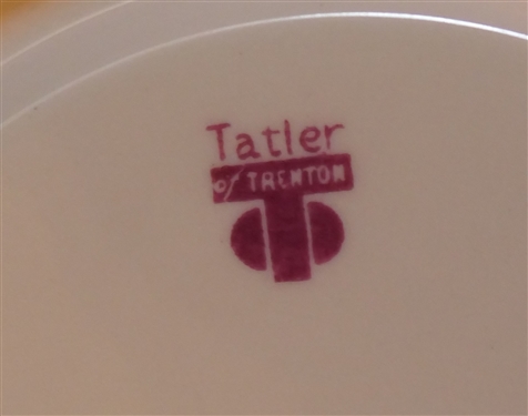 16 Pieces of Tatler of Trenton China - Pattern Tat119 - 10 1/4 Dinner Plates and 8 Salad Plates 