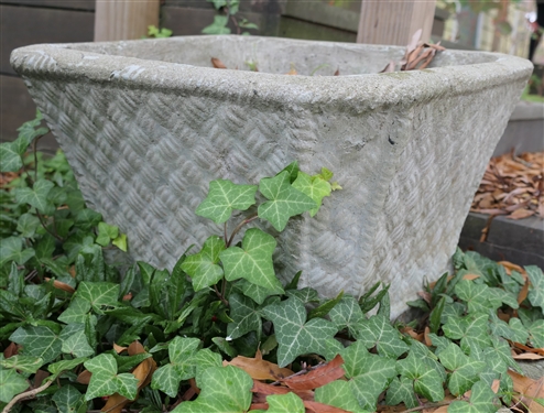 Square Concrete Basket Weave Planter - Planter Measures 12 Tall 18 Across