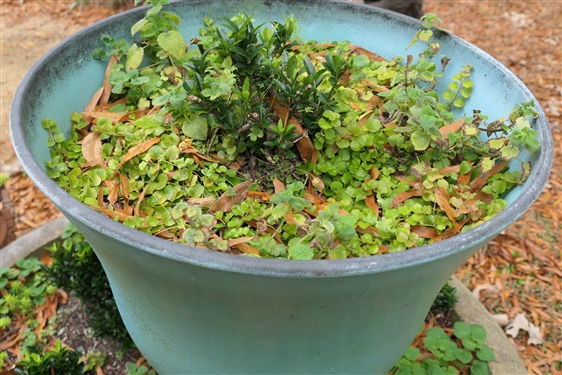 Pretty Turquoise Colored Plastic Planter on Metal Stand - Planter Measures 22 tall 22 Across