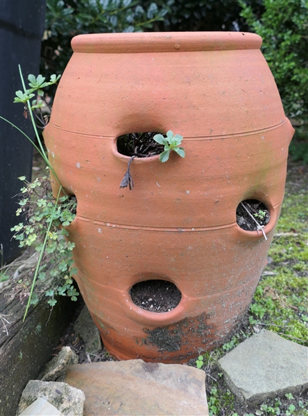 Terracotta Strawberry Planter - Measures 16" Tall 