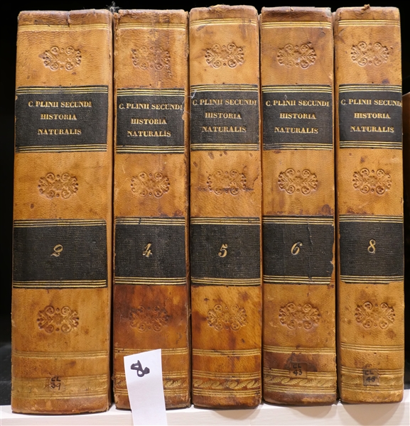 5 Volumes - Latin History Books - Beautifully Leather Bound with Marbleized Cover and End Pages - Volumes 2, 4,5,6, and 8