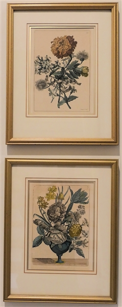 Pair of Beautifully Framed Botanical Etchings - Framed and Double Matted - Gold Frames Measure 13 1/2" by 11" 