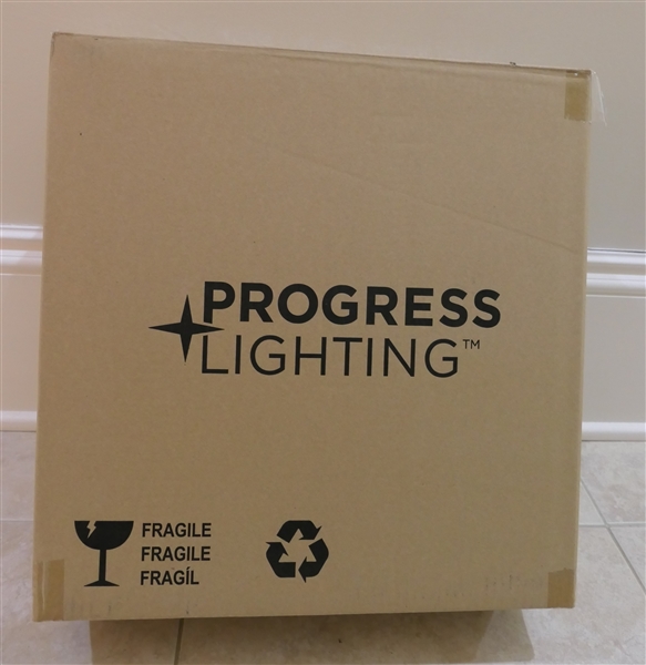 Progress Lighting LED Flush Mount Light Fixture - New in Original Box