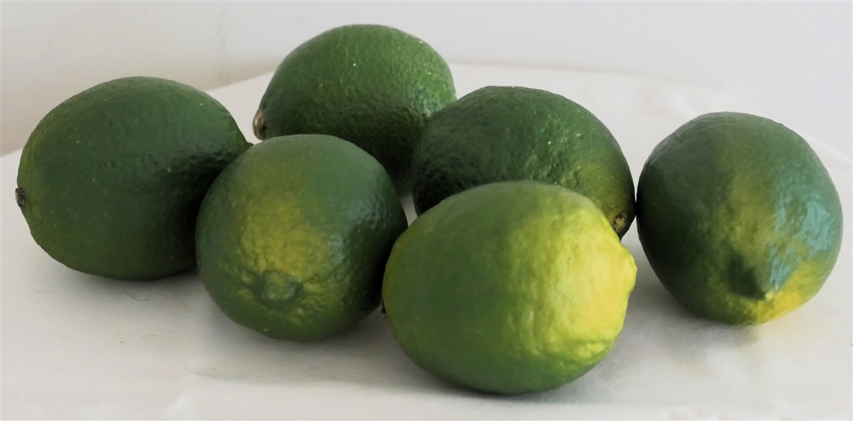 6 Super Realistic Resin Limes 