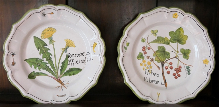 2 Hand Painted Italian Floral Plates - Each Plate Measures 9 1/2 Across