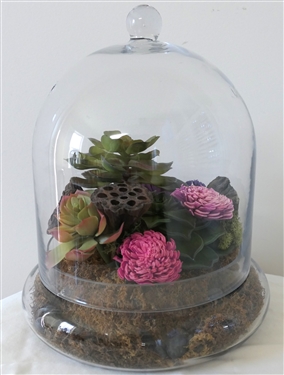 Very Nice Glass Terrarium with Faux Succulent Arrangement - Glass Underplate with Glass Cloche Dome Lid - Overall Measures 12 tall 9 Wide 