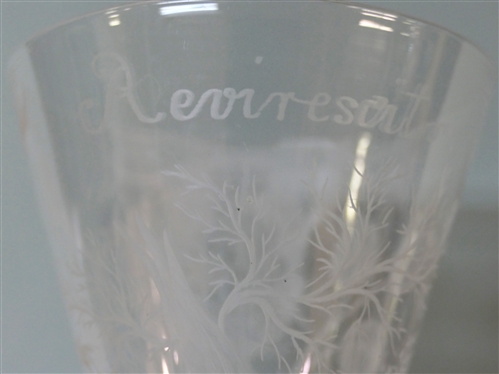 Beautiful Large Etched Friendship Cup /Goblet  - Reviresco Etched in Body with Trees and Beautiful Flowers -Reviresco is a Latin word that means to grow strong again or to flourish again -...