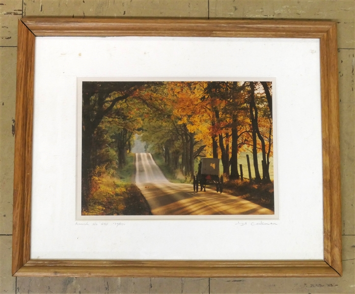 Amish NO. 690 - Photograph by Bill Coleman - Artist Pencil Signed and Numbered 139/850 - Framed and Matted - Frame Measures 12" by 15"