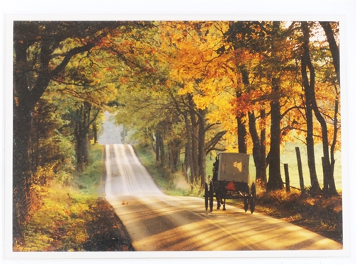 Amish NO. 690 - Photograph by Bill Coleman - Artist Pencil Signed and Numbered 139/850 - Framed and Matted - Frame Measures 12 by 15