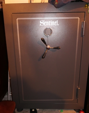 Gun Safe