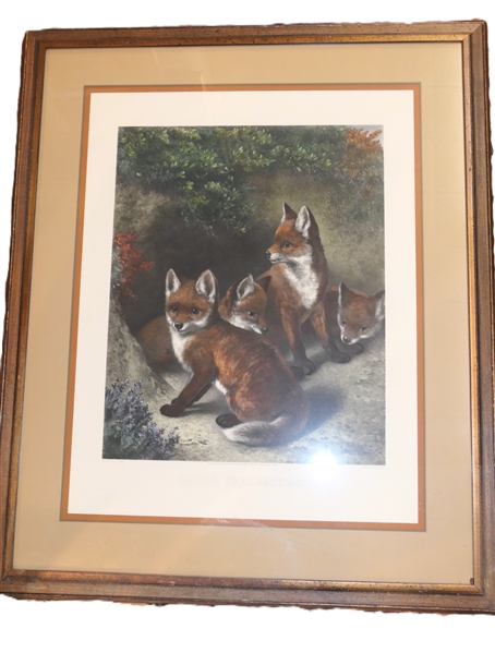 "Young Freebooters" Fox Print - Engraved by Alfred Lucas after a picture by Samuel John Carter - Attractively Framed and Matted - Frame Measures 39 1/4" by 33" 
