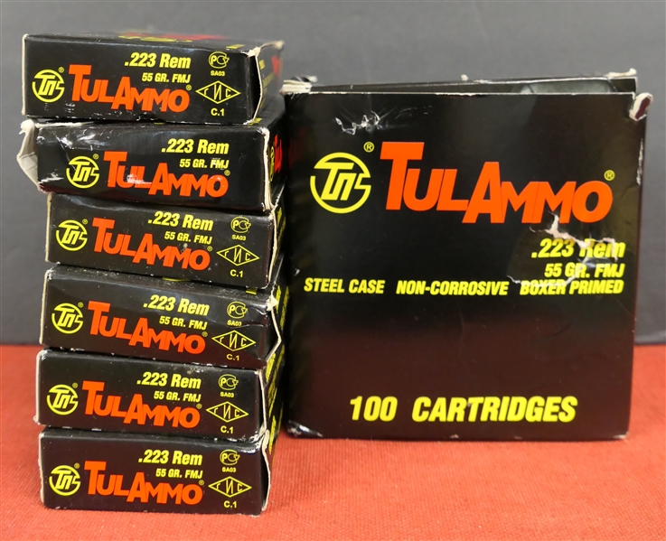 220 Rounds - .223 REM 55 Gr. FMJ Cartridges - 6 Boxes of 20 Rounds and 1 Box of 100 Rounds 