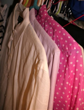 Choice of Clothes in Closet - Ralph Lauren, Talbots, Ann Klein, Liz Sport, Fresh Produce, Life is Good, J Crew, Sporting Team Shirts, Lilly Pulitzer, Chicos, Etc. 