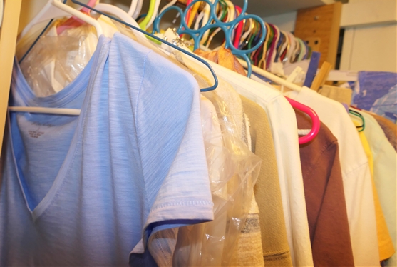 Choice of Clothes in Closet - Ralph Lauren, Talbots, Ann Klein, Liz Sport, Fresh Produce, Life is Good, J Crew, Sporting Team Shirts, Lilly Pulitzer, Chicos, Etc. 
