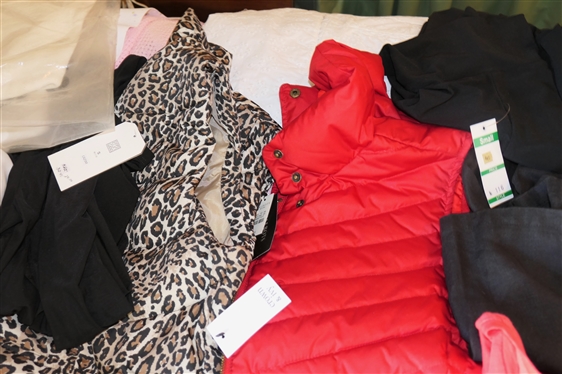 Choice of New Clothes - Shirts, Sweaters, Skirts, Pants - Talbots, Soft Surrounds, Crown &Ivy, Chicos,