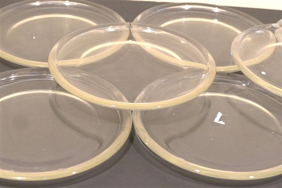 8 Thick Crystal Plates - 8 Across