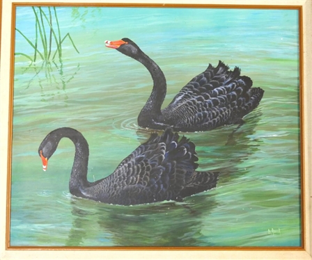 Original D. Raver Black Swan Oil on Canvas Painting - Duane Raver  (1927 - 2022) - Important North Carolina Wildlife Artist - Frame Measures 25 by 29 