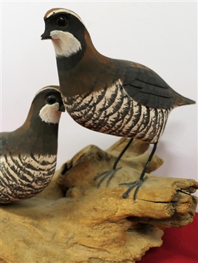 Hand Carved and Hand Painted Quail on Driftwood Base - Glass Eyes - Standing Quail is 6 Tall Overall 9 Tall 