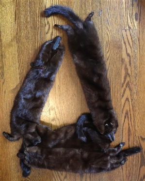 Mink Scarf - Full Minks 