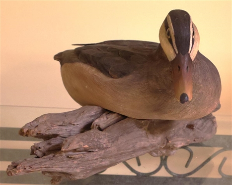 Hand Carved and Hand Painted Wood Duck Decoy - Highly Detailed on Driftwood Base - Signed P.W.P. '84 - Duck Only is 5T all 12 Beak to Tail 