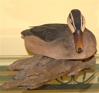 Hand Carved and Hand Painted Wood Duck Decoy - Highly Detailed on Driftwood Base - Signed P.W.P. '84 - Duck Only is 5T all 12 Beak to Tail 