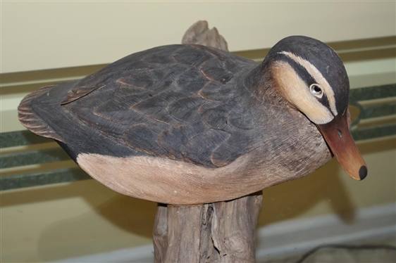 Hand Carved and Hand Painted Wood Duck Decoy - Highly Detailed on Driftwood Base - Signed P.W.P. '84 - Duck Only is 5T all 12 Beak to Tail 